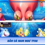 Ban Ca Nam Ngu Tf88
