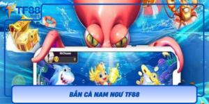 Ban Ca Nam Ngu Tf88