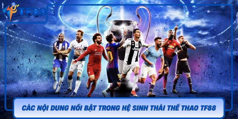 Cac Noi Dung Noi Bat Trong He Sinh Thai The Thao Tf88