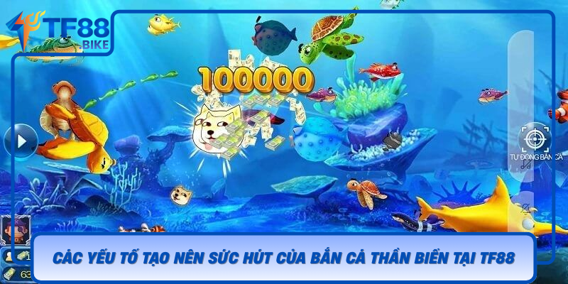 Cac Yeu To Tao Nen Suc Hut Cua Ban Ca Than Bien Tai Tf88