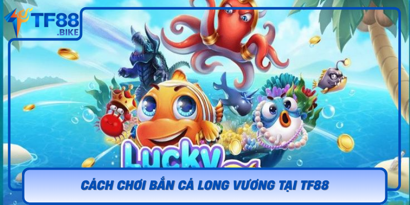 Cach Choi Ban Ca Long Vuong Tai Tf88