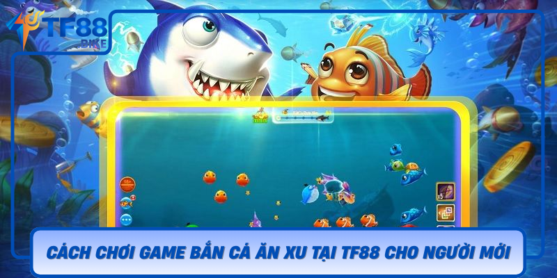 Cach Choi Game Ban Ca An Xu Tai Tf88 Cho Nguoi Moi