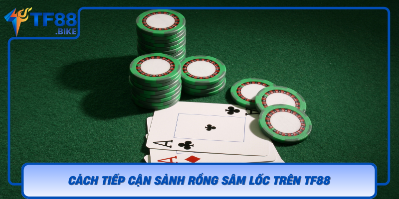 Cach Tiep Can Sanh Rong Sam Loc Tren Tf88