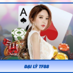 Dai Ly Tf88