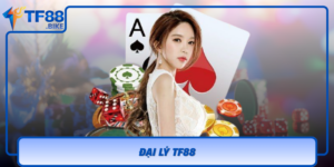 Dai Ly Tf88