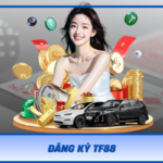 Dang Ky Tf88