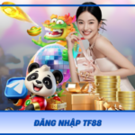 Dang Nhap Tf88