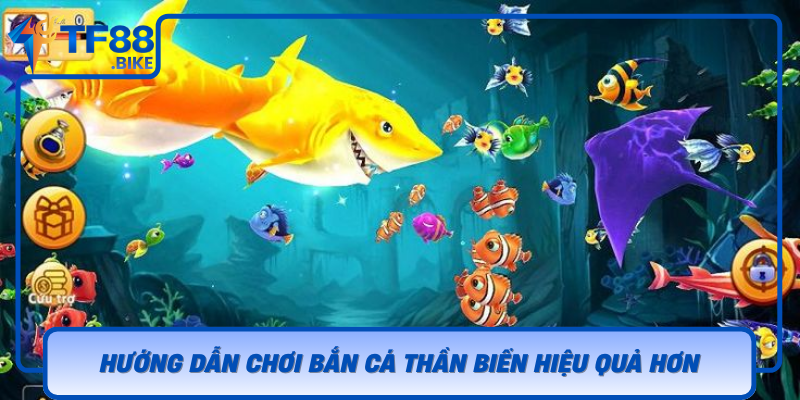 Huong Dan Choi Ban Ca Than Bien Hieu Qua Hon