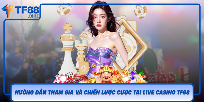 Huong Dan Tham Gia Va Chien Luoc Cuoc Hieu Qua Tai Live Casino Tf88
