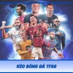 Keo Bong Da Tf88
