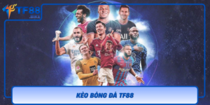 Keo Bong Da Tf88
