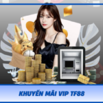 Khuyen Mai Vip Tf88