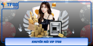 Khuyen Mai Vip Tf88