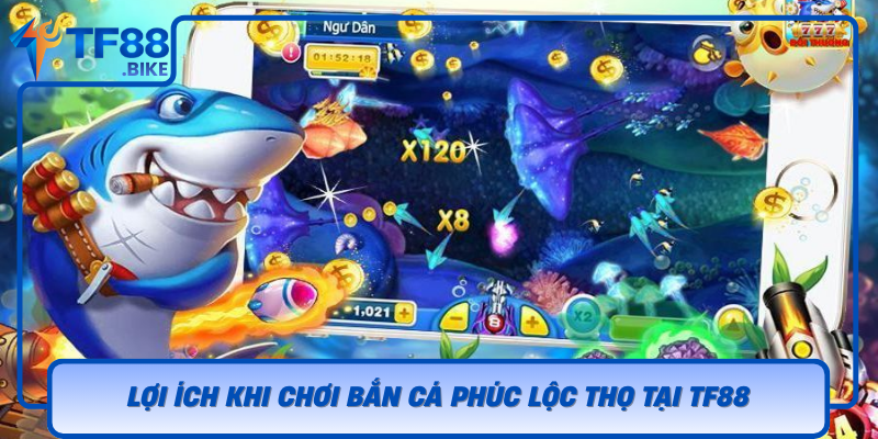 Loi Ich Khi Choi Ban Ca Phuc Loc Tho Tai Tf88