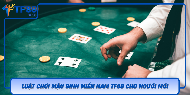 Luat Choi Mau Binh Mien Nam Tf88 Cho Nguoi Moi
