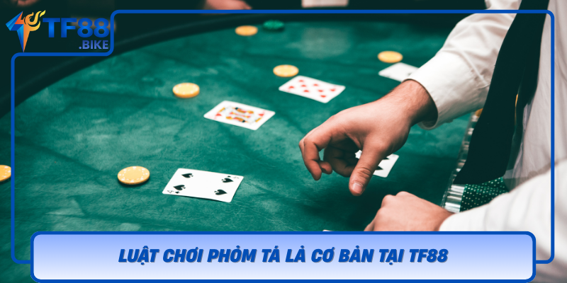 Luat Choi Phom Ta La Co Ban Tai Tf88