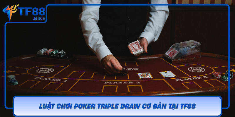 Luat Choi Poker Triple Draw Co Ban Tai Tf88