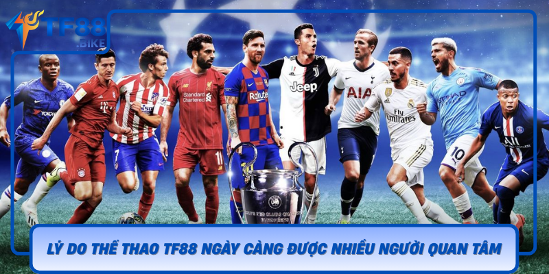 Ly Do The Thao Tf88 Ngay Cang Duoc Nhieu Nguoi Quan Tam