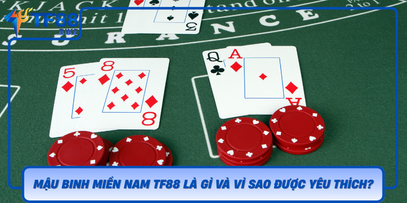 Mau Binh Mien Nam Tf88 La Gi Va Vi Sao Duoc Yeu Thich