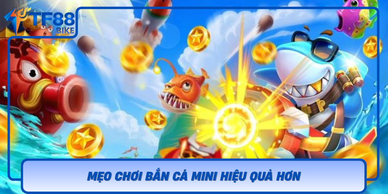 Meo Choi Ban Ca Mini Hieu Qua Hon