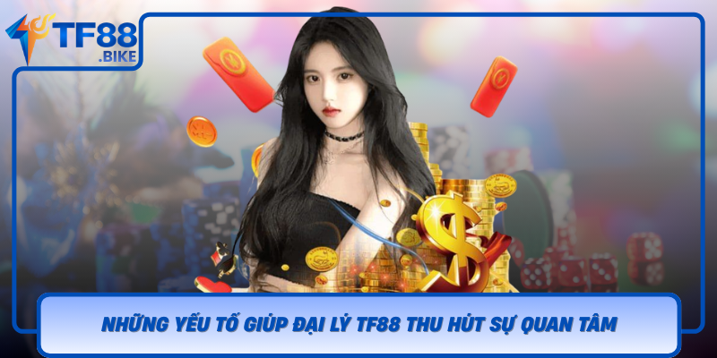 Nhung Yeu To Giup Dai Ly Tf88 Thu Hut Su Quan Tam