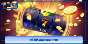 No Hu Chau Bau Tf88