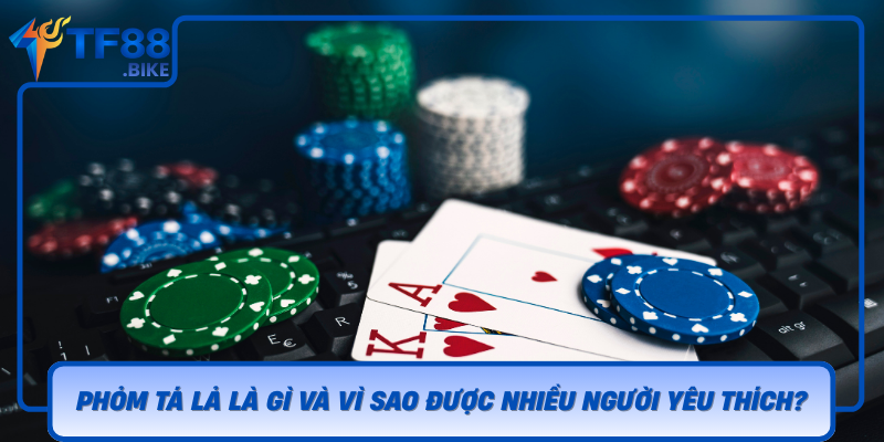 Phom Ta La La Gi Va Vi Sao Duoc Nhieu Nguoi Yeu Thich