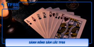 Sanh Rong Sam Loc Tf88