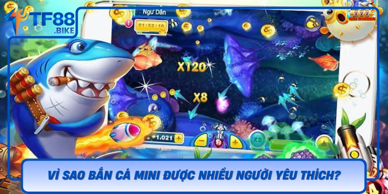 Vi Sao Ban Ca Mini Duoc Nhieu Nguoi Yeu Thich
