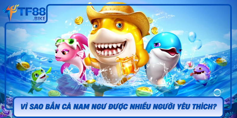 Vi Sao Ban Ca Nam Ngu Duoc Nhieu Nguoi Yeu Thich