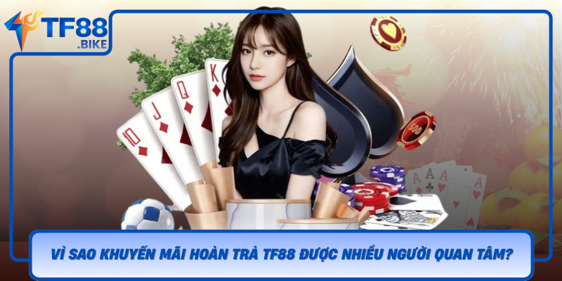 Vi Sao Khuyen Mai Hoan Tra Tf88 Duoc Nhieu Nguoi Quan Tam