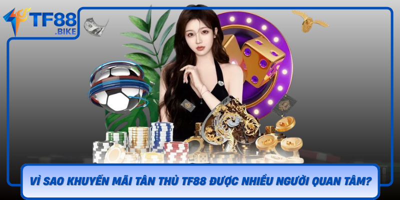 Vi Sao Khuyen Mai Tan Thu Tf88 Duoc Nhieu Nguoi Quan Tam