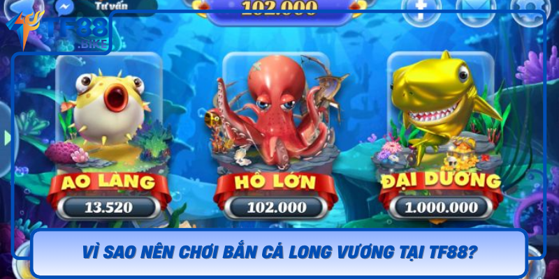 Vi Sao Nen Choi Ban Ca Long Vuong Tai Tf88