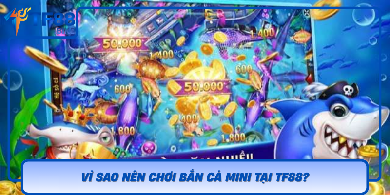 Vi Sao Nen Choi Ban Ca Mini Tai Tf88