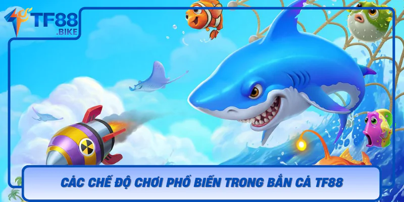 Bắn Cá TF88 – Thế Giới Săn Cá Sinh Động Và Cực Lôi Cuốn 2 Cac Che Do Choi Pho Bien Trong Ban Ca Tf88