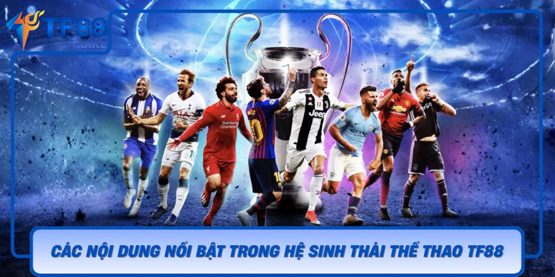 Thể Thao TF88 – Cập Nhật Kèo Nhanh Và Trải Nghiệm Dễ Xem 2 Cac Noi Dung Noi Bat Trong He Sinh Thai The Thao Tf88