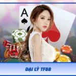 Dai Ly Tf88